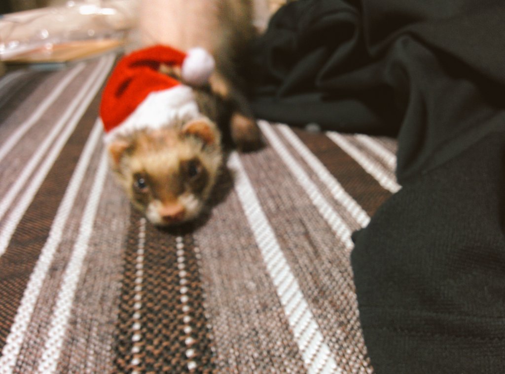 日本coser-いくみ – (193iKkyu3) [Twitter] (10.11.2022) [2476P116V-1.04GB]_第111集