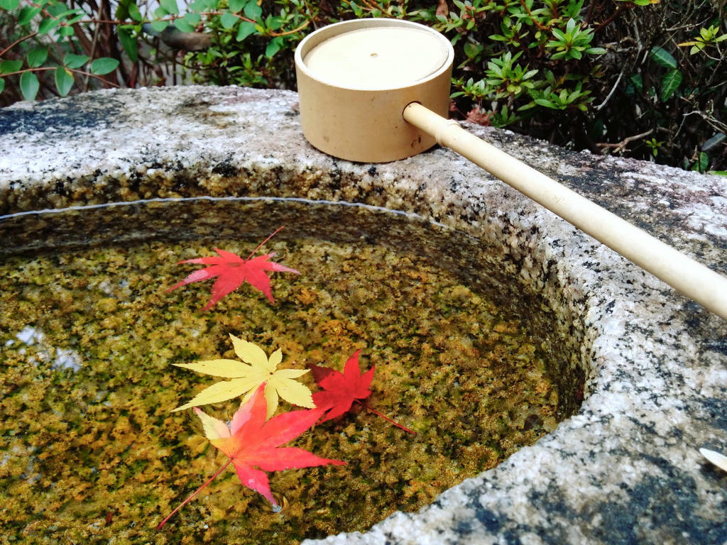 日本coser-いくみ – (193iKkyu3) [Twitter] (10.11.2022) [2476P116V-1.04GB]_第113集