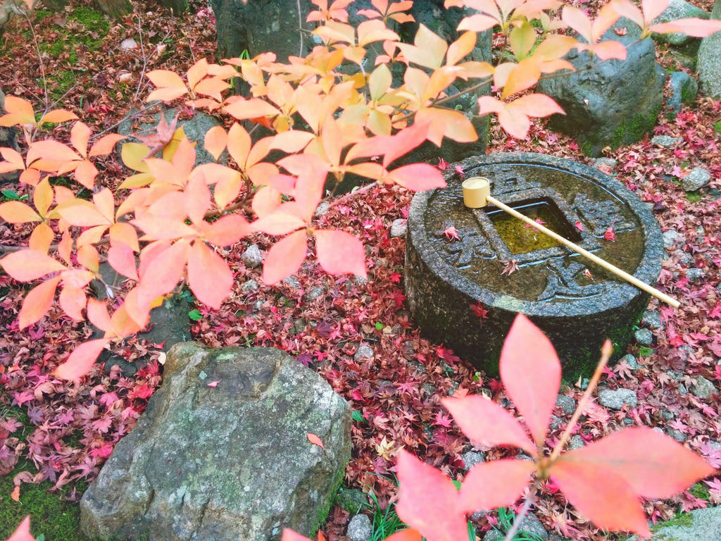 日本coser-いくみ – (193iKkyu3) [Twitter] (10.11.2022) [2476P116V-1.04GB]_第113集