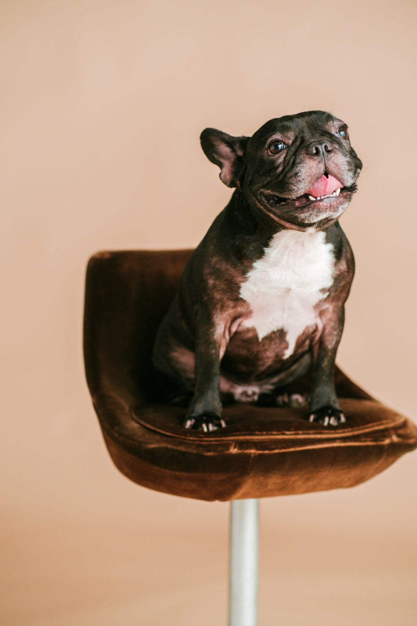 日本coser-いくみ – (193iKkyu3) [Twitter] (10.11.2022) [2476P116V-1.04GB]_第13集