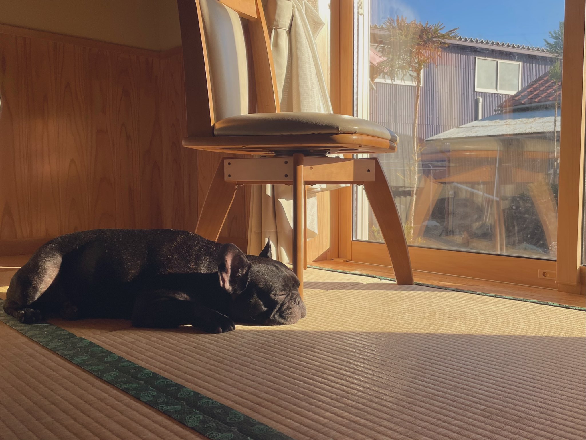 日本coser-いくみ – (193iKkyu3) [Twitter] (10.11.2022) [2476P116V-1.04GB]_第14集