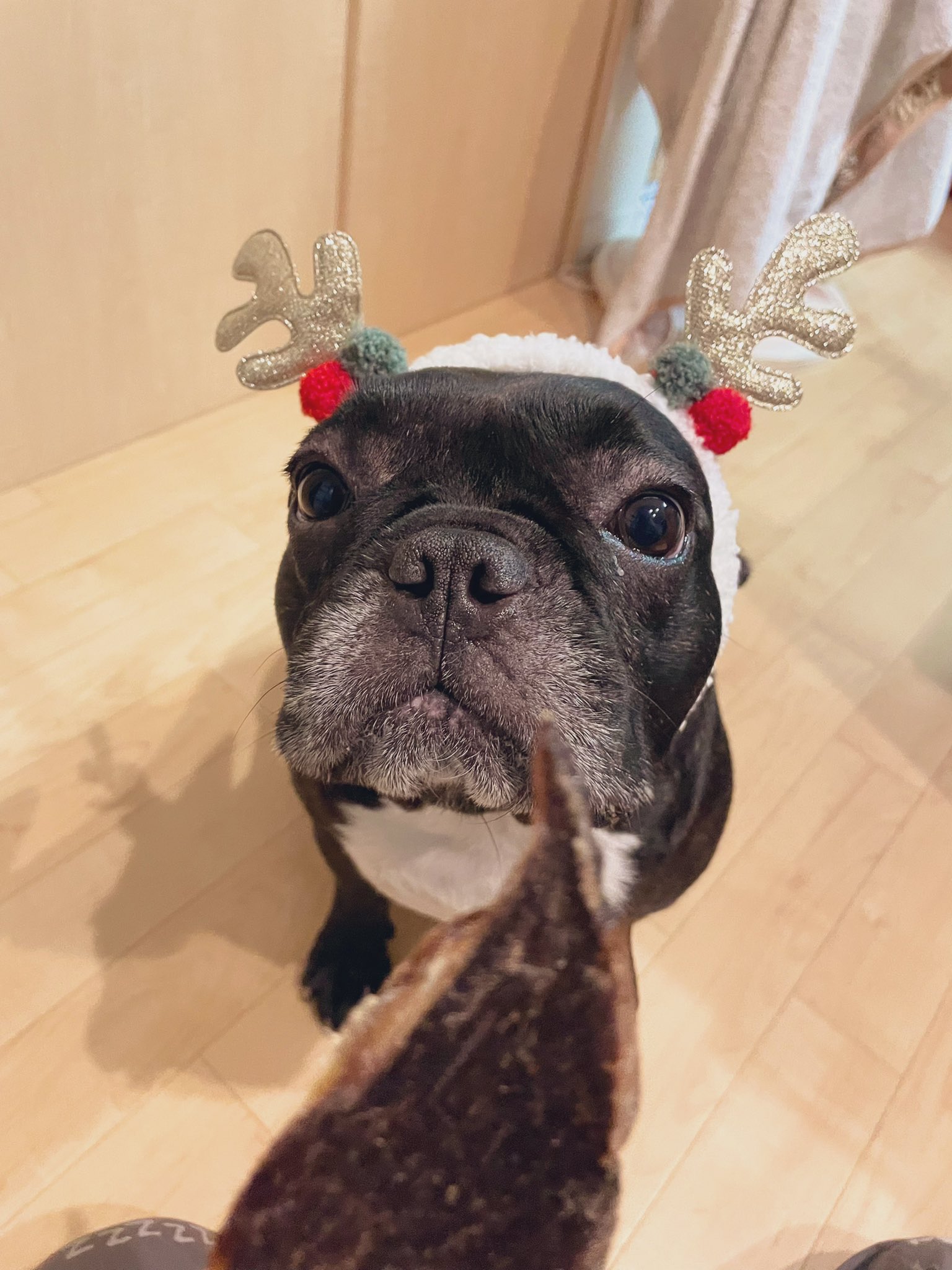 日本coser-いくみ – (193iKkyu3) [Twitter] (10.11.2022) [2476P116V-1.04GB]_第15集