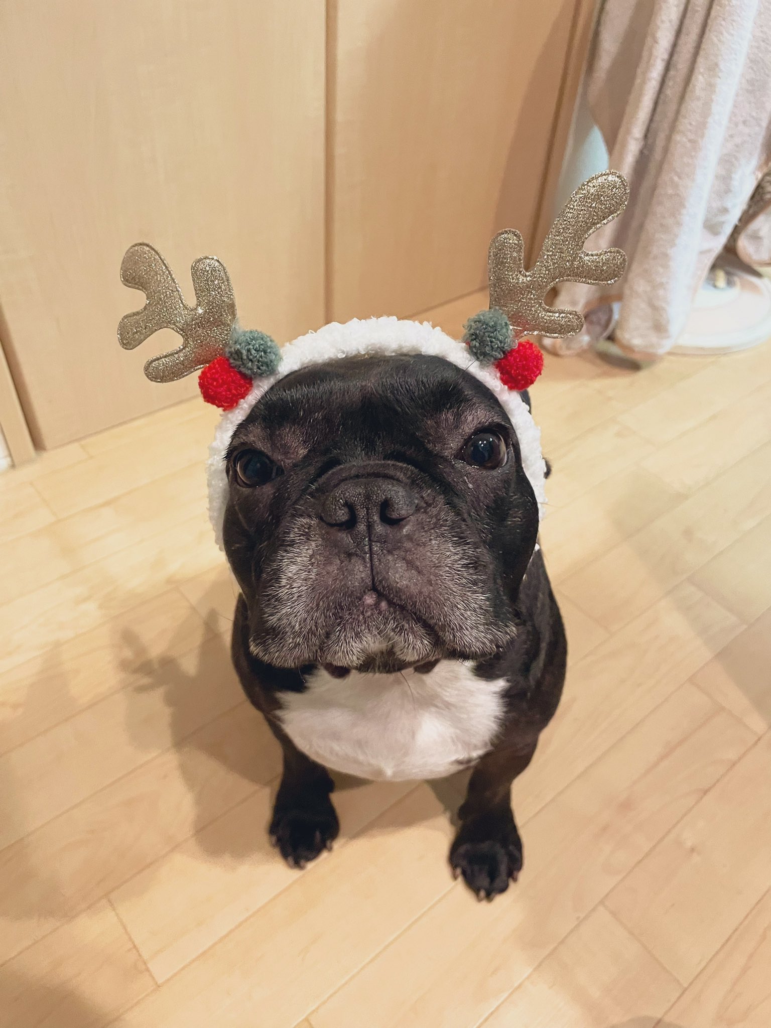 日本coser-いくみ – (193iKkyu3) [Twitter] (10.11.2022) [2476P116V-1.04GB]_第15集