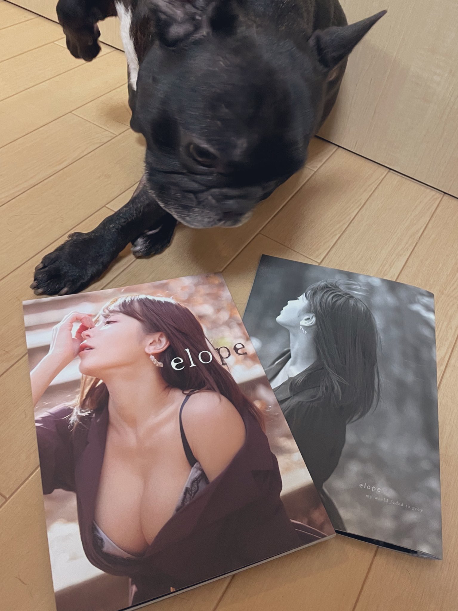 日本coser-いくみ – (193iKkyu3) [Twitter] (10.11.2022) [2476P116V-1.04GB]_第15集