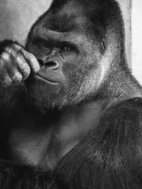 日本coser-いくみ – (193iKkyu3) [Twitter] (10.11.2022) [2476P116V-1.04GB]_第16集