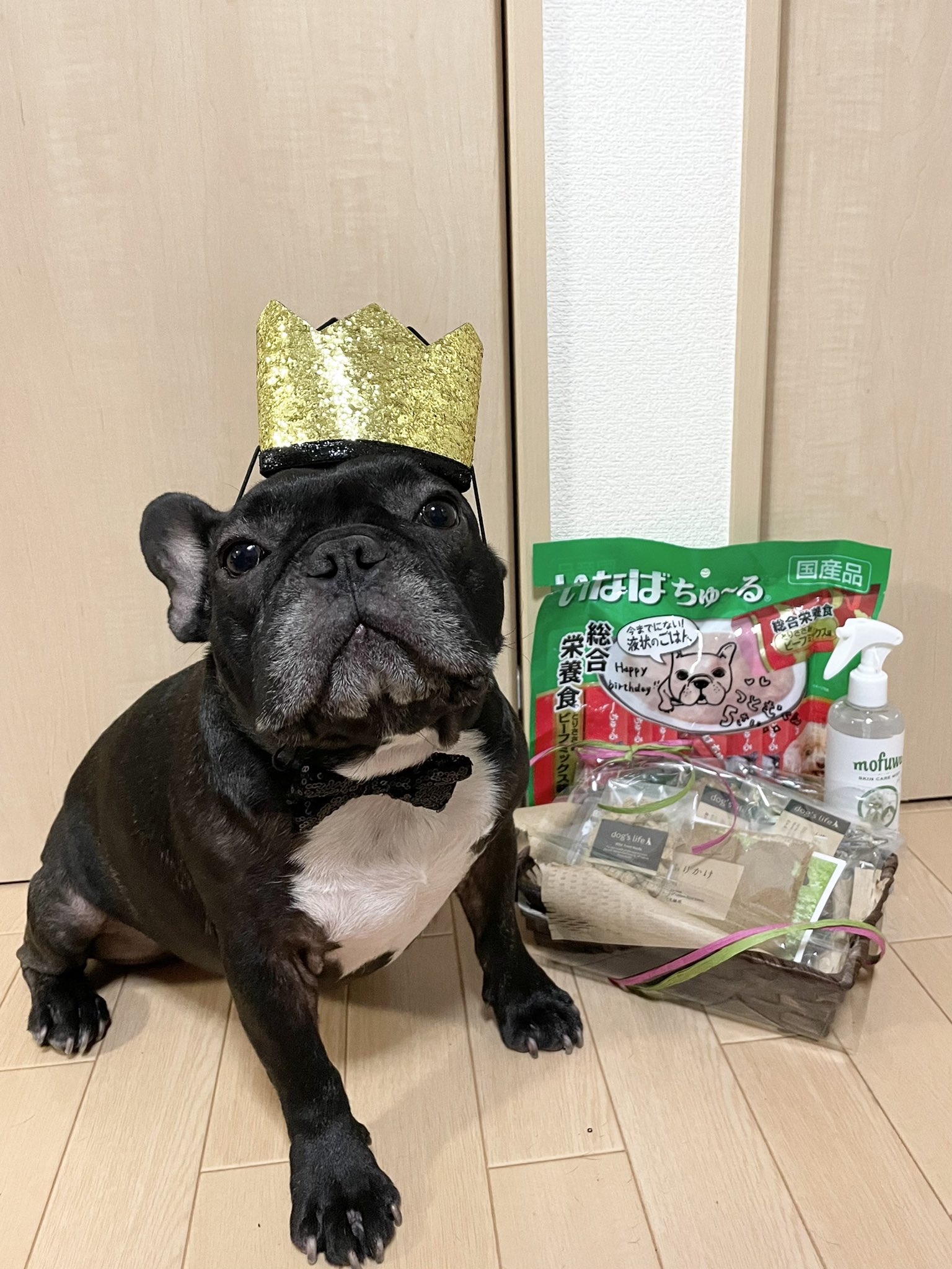 日本coser-いくみ – (193iKkyu3) [Twitter] (10.11.2022) [2476P116V-1.04GB]_第16集