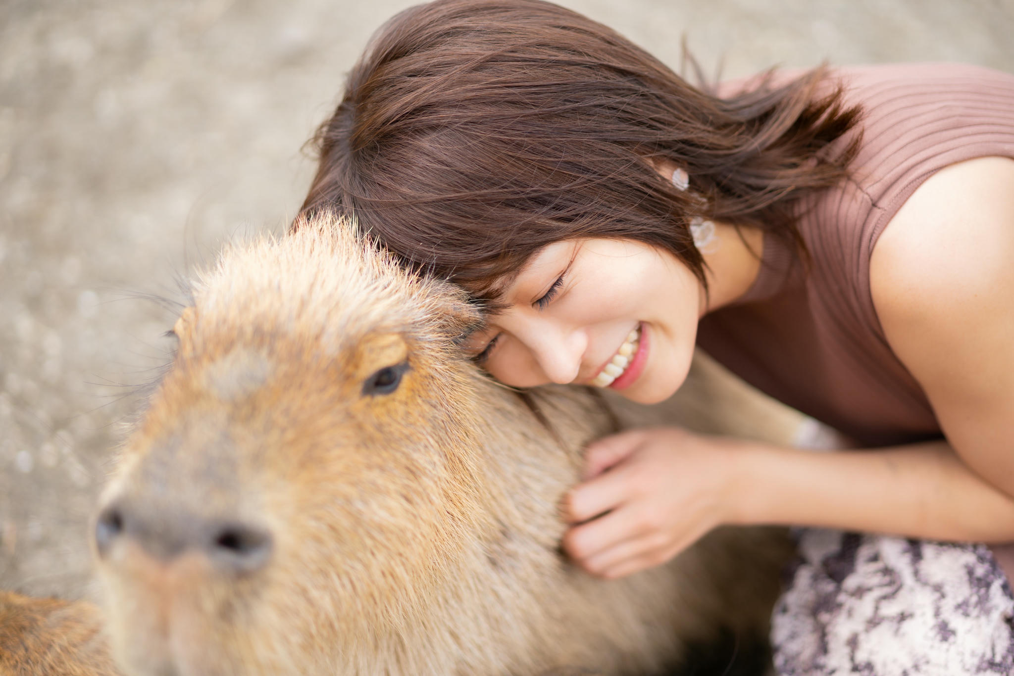 日本coser-いくみ – (193iKkyu3) [Twitter] (10.11.2022) [2476P116V-1.04GB]_第17集