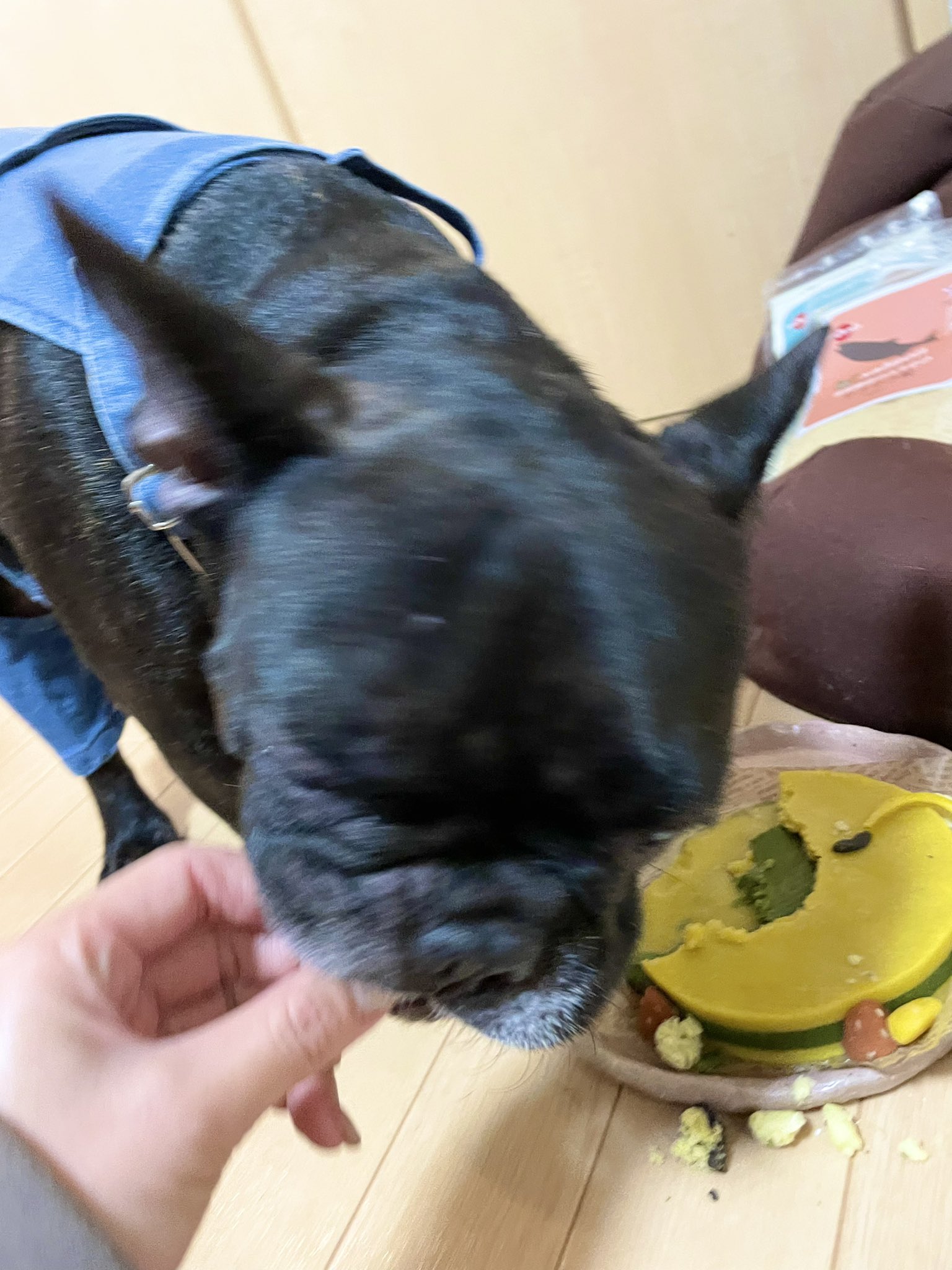 日本coser-いくみ – (193iKkyu3) [Twitter] (10.11.2022) [2476P116V-1.04GB]_第17集