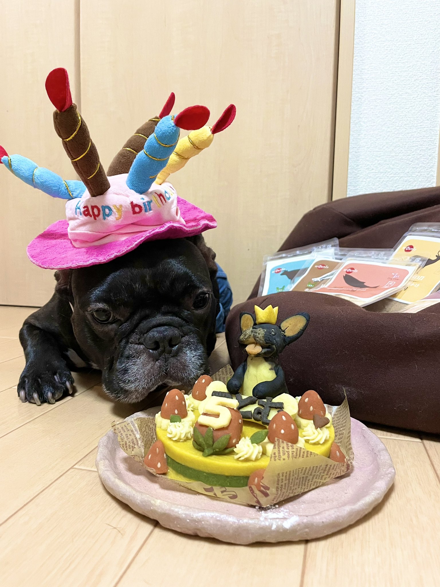 日本coser-いくみ – (193iKkyu3) [Twitter] (10.11.2022) [2476P116V-1.04GB]_第17集