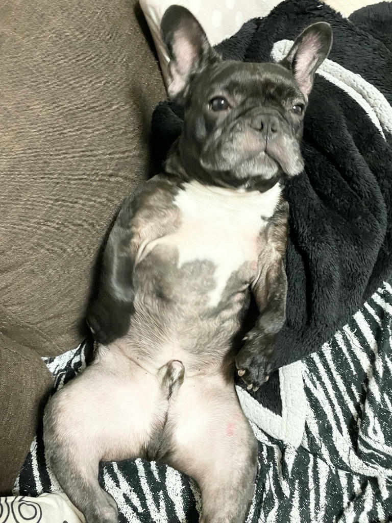 日本coser-いくみ – (193iKkyu3) [Twitter] (10.11.2022) [2476P116V-1.04GB]_第18集