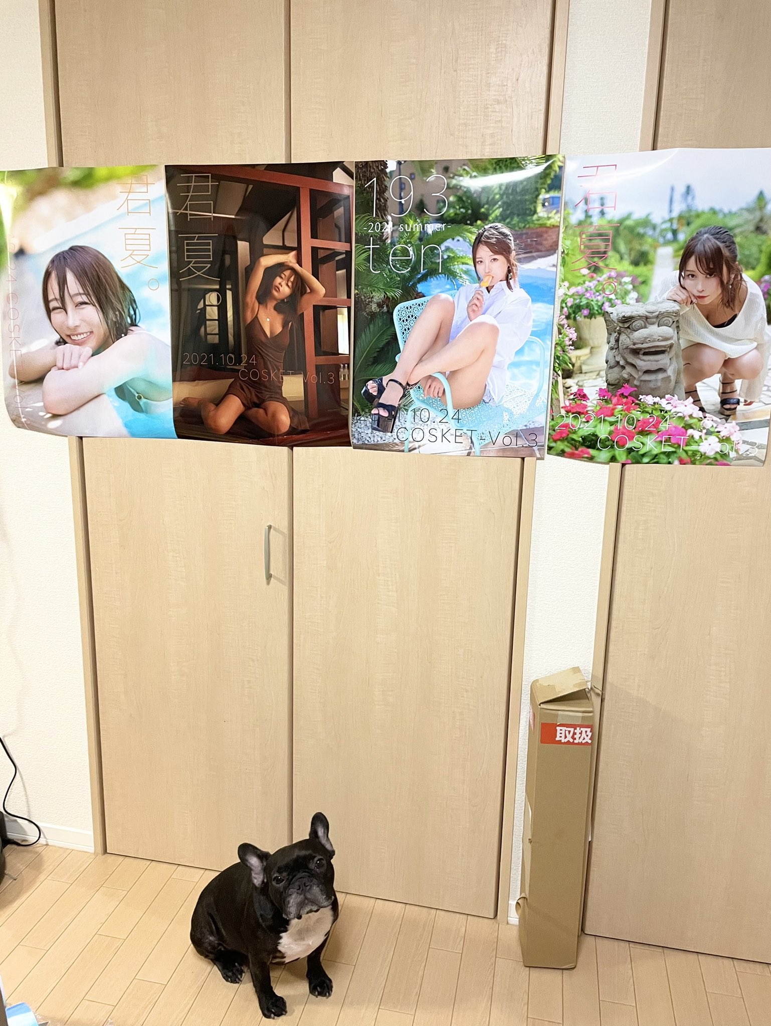 日本coser-いくみ – (193iKkyu3) [Twitter] (10.11.2022) [2476P116V-1.04GB]_第20集