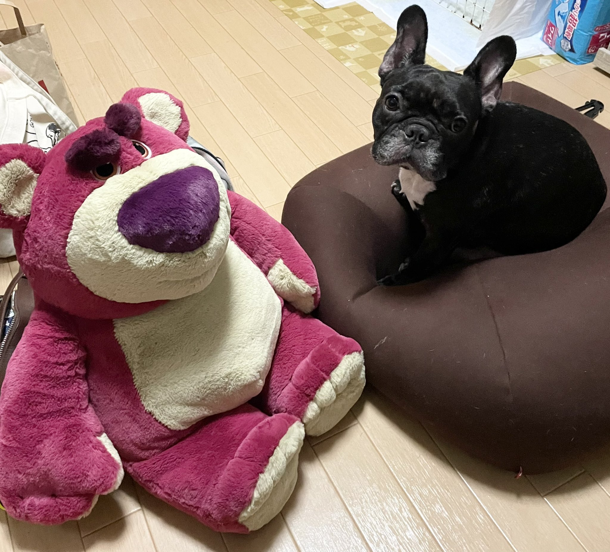 日本coser-いくみ – (193iKkyu3) [Twitter] (10.11.2022) [2476P116V-1.04GB]_第20集