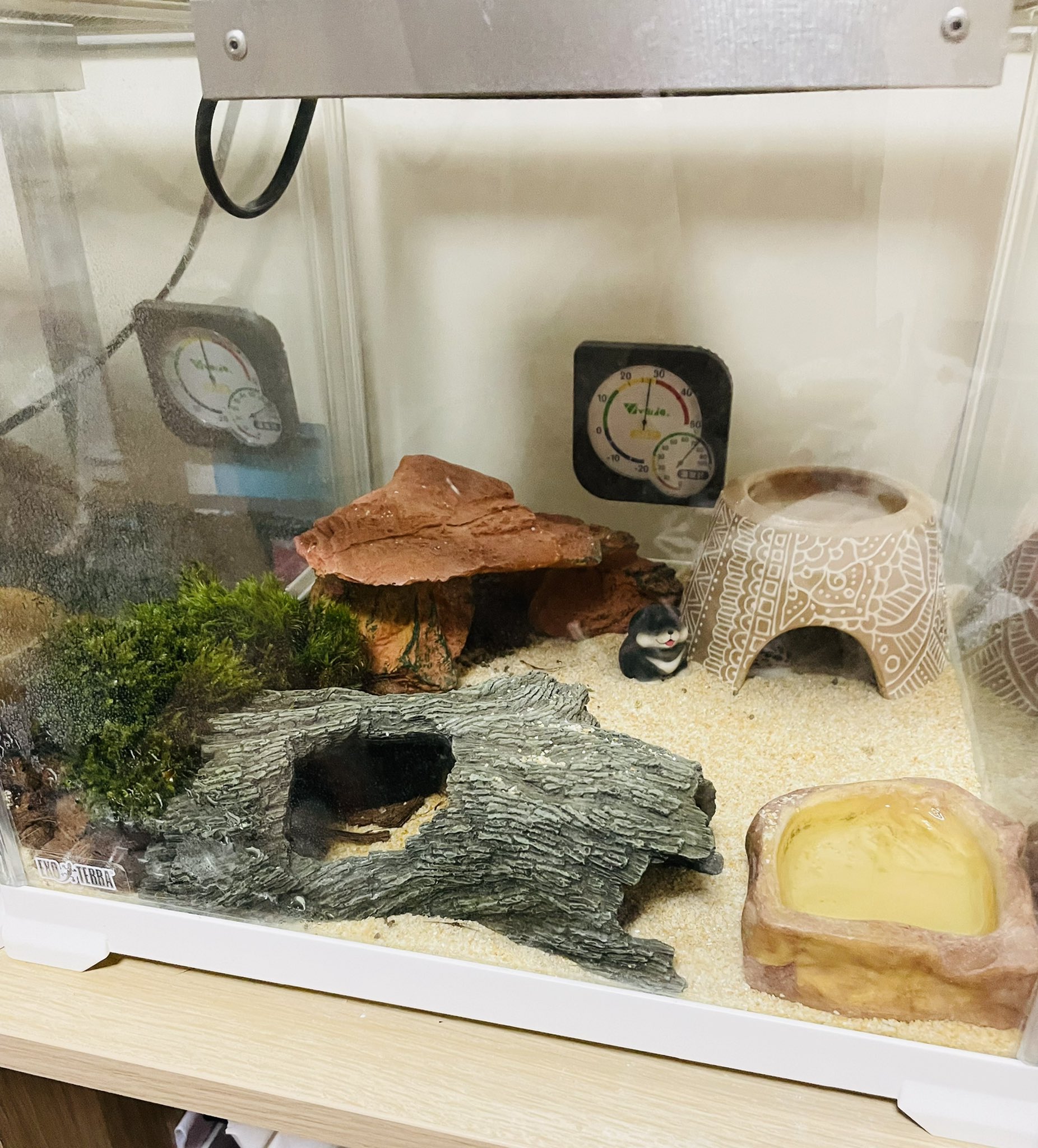 日本coser-いくみ – (193iKkyu3) [Twitter] (10.11.2022) [2476P116V-1.04GB]_第23集