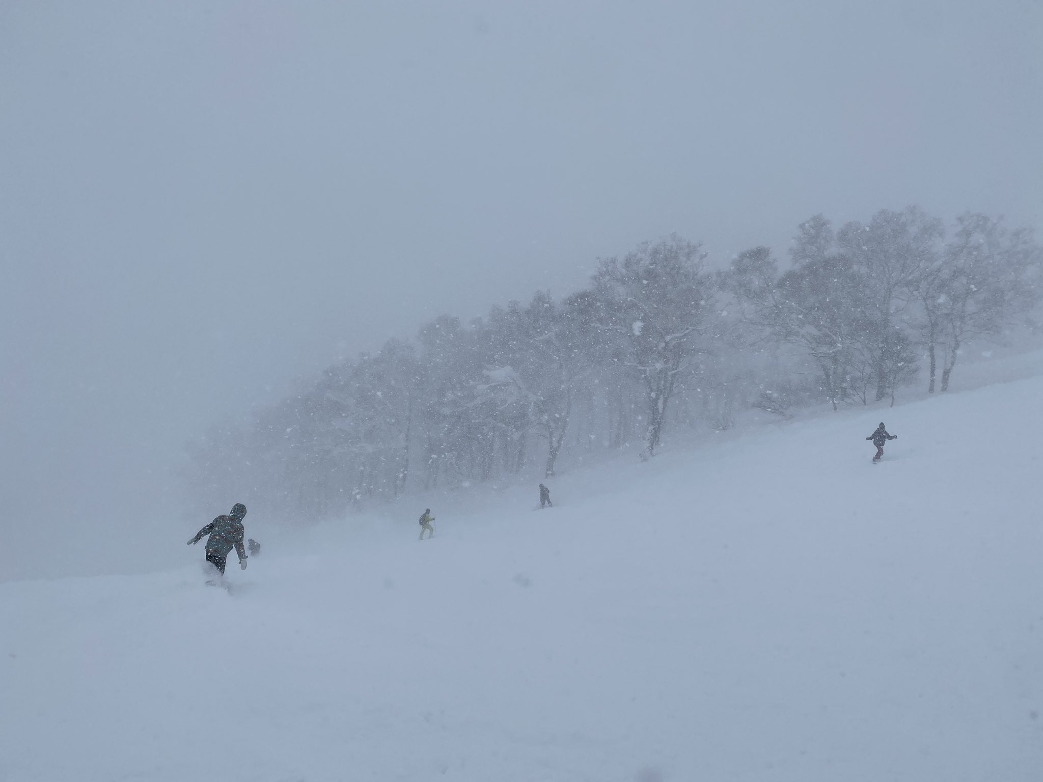 日本coser-いくみ – (193iKkyu3) [Twitter] (10.11.2022) [2476P116V-1.04GB]_第31集