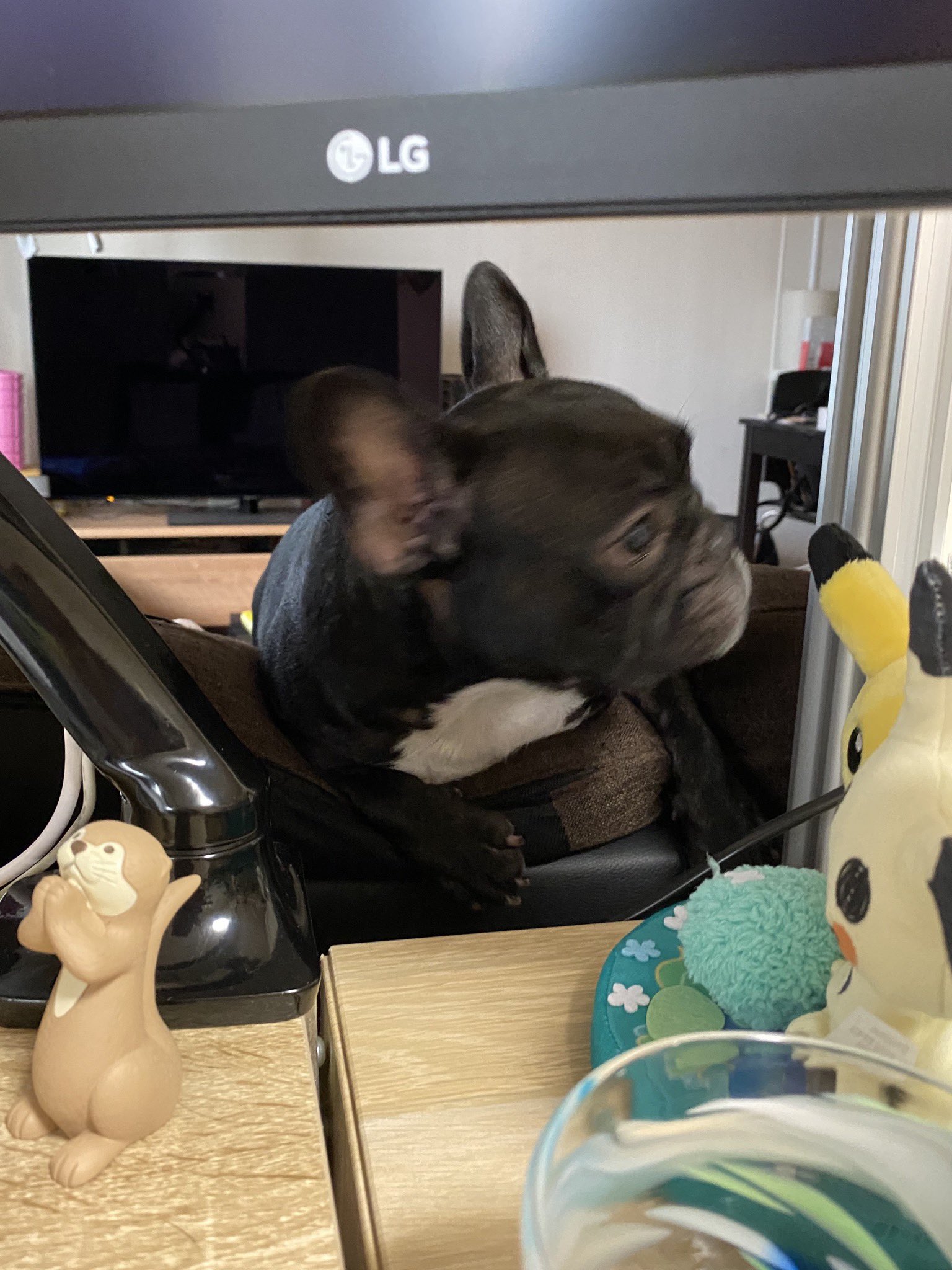 日本coser-いくみ – (193iKkyu3) [Twitter] (10.11.2022) [2476P116V-1.04GB]_第35集