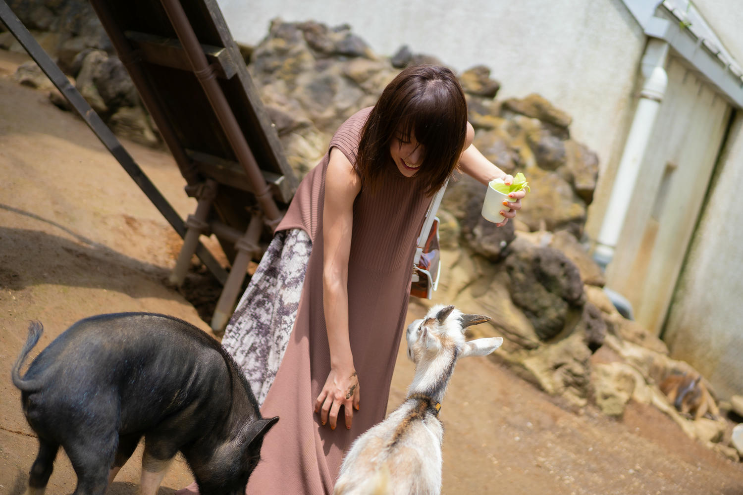 日本coser-いくみ – (193iKkyu3) [Twitter] (10.11.2022) [2476P116V-1.04GB]_第35集