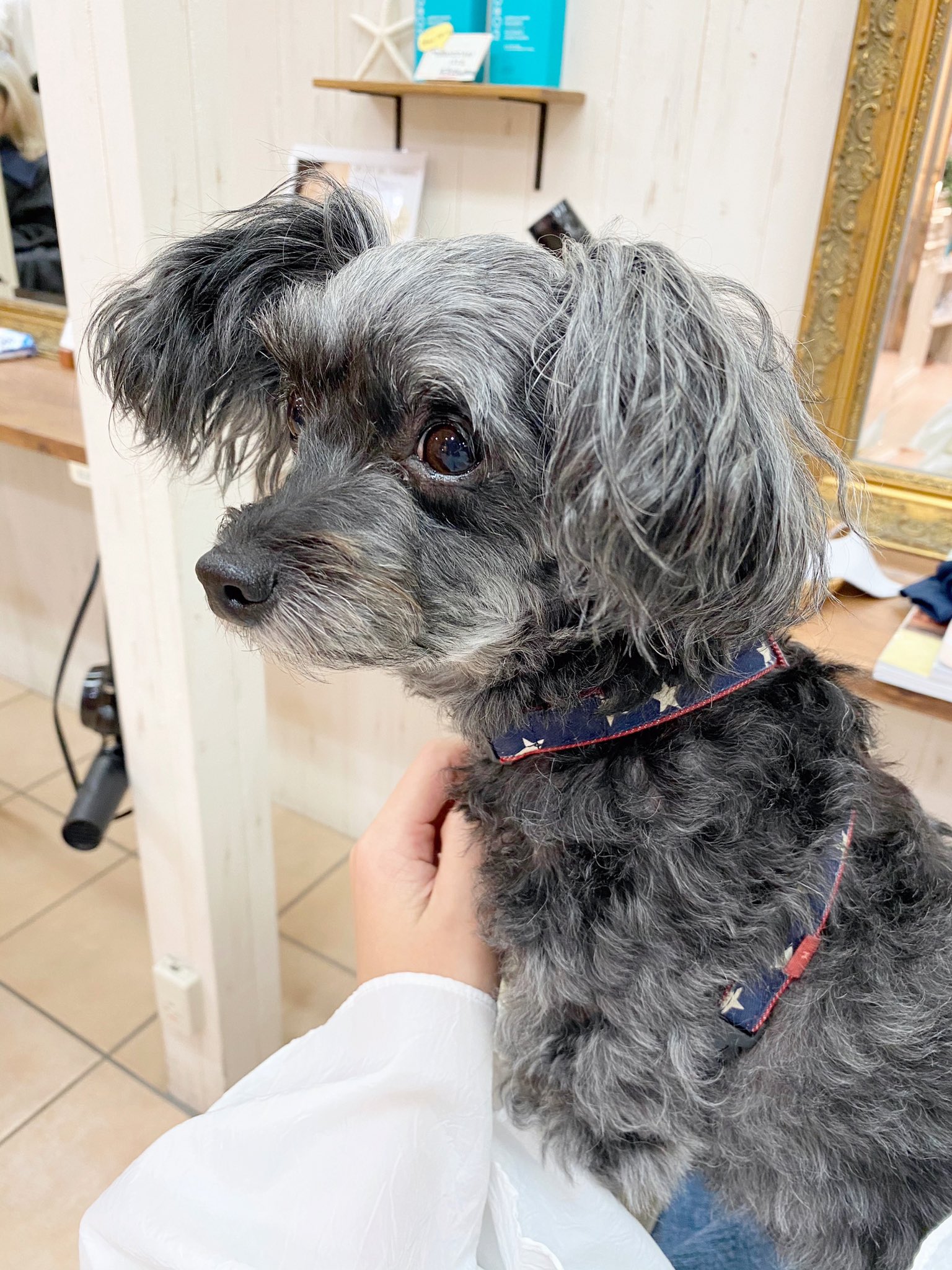 日本coser-いくみ – (193iKkyu3) [Twitter] (10.11.2022) [2476P116V-1.04GB]_第36集