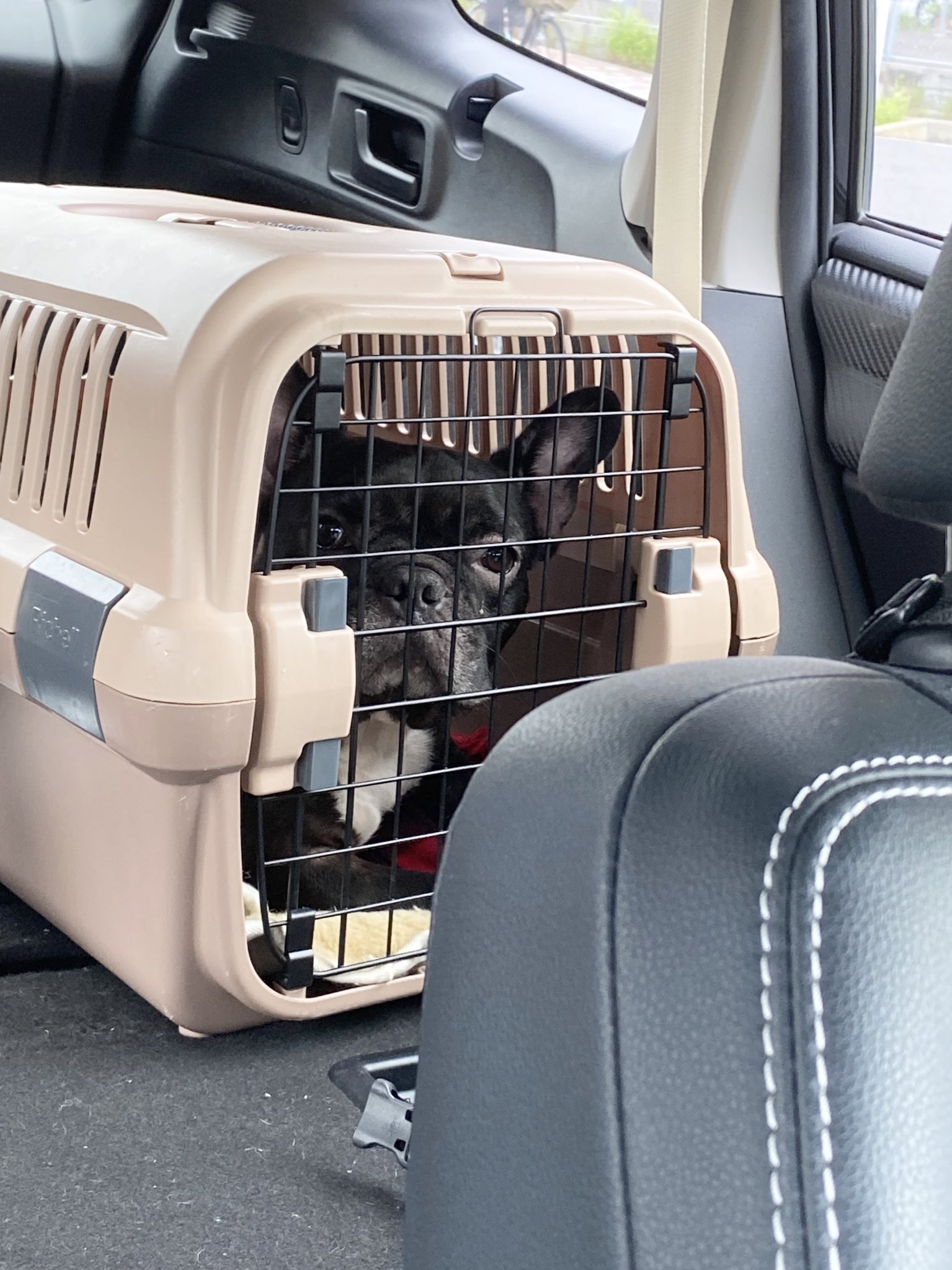 日本coser-いくみ – (193iKkyu3) [Twitter] (10.11.2022) [2476P116V-1.04GB]_第36集