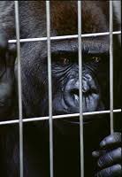 日本coser-いくみ – (193iKkyu3) [Twitter] (10.11.2022) [2476P116V-1.04GB]_第36集