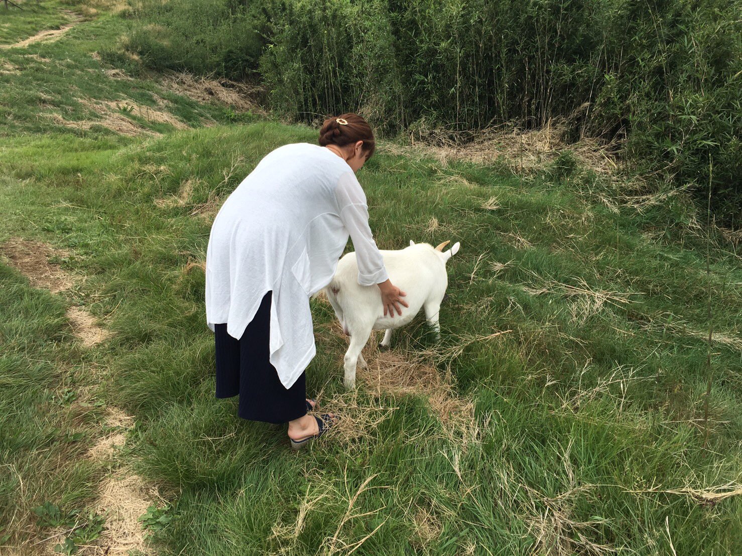 日本coser-いくみ – (193iKkyu3) [Twitter] (10.11.2022) [2476P116V-1.04GB]_第37集