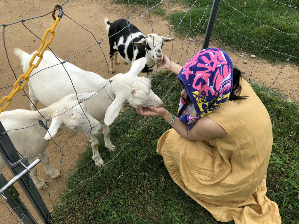 日本coser-いくみ – (193iKkyu3) [Twitter] (10.11.2022) [2476P116V-1.04GB]_第37集