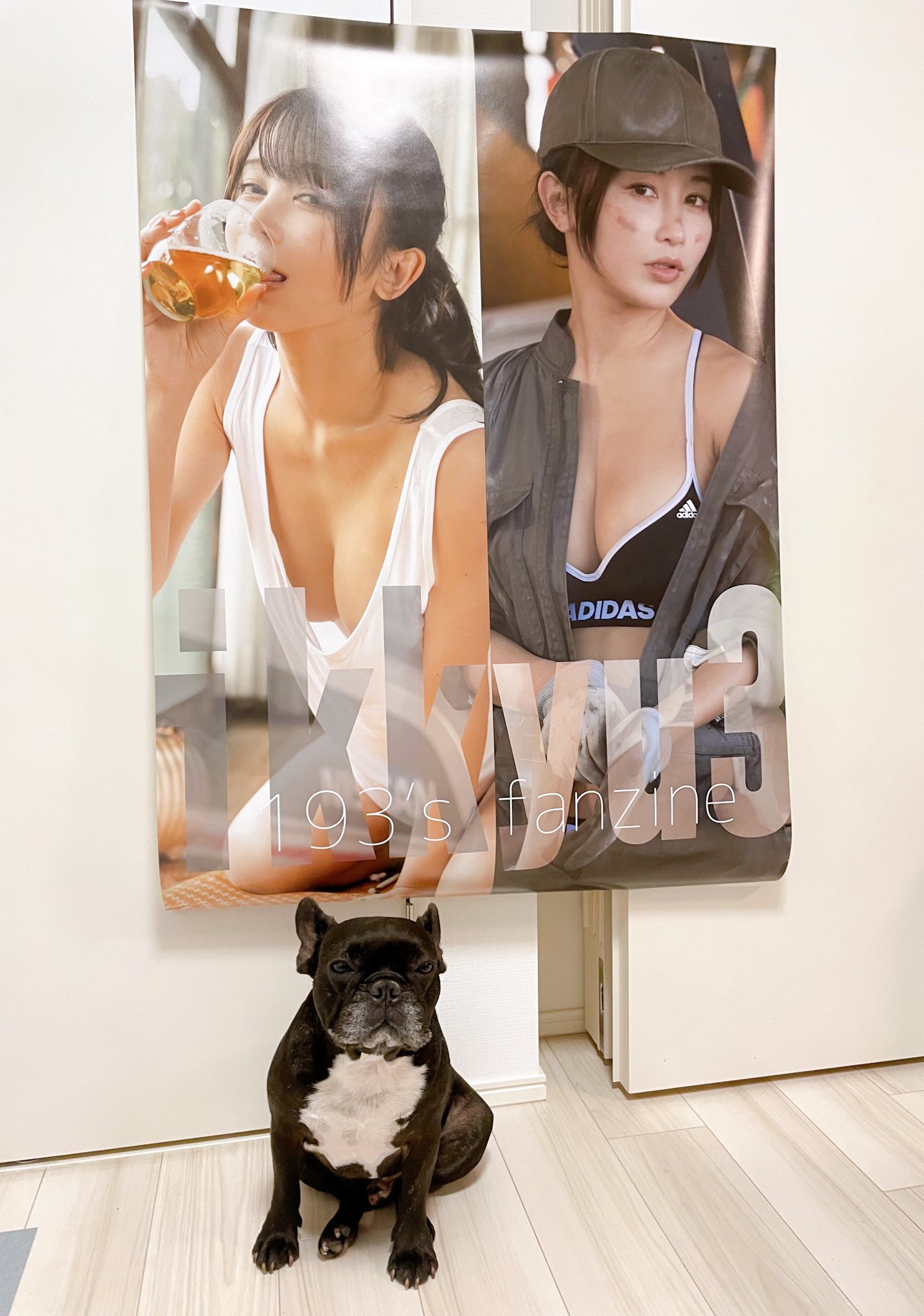 日本coser-いくみ – (193iKkyu3) [Twitter] (10.11.2022) [2476P116V-1.04GB]_第4集