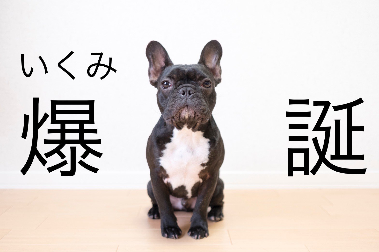 日本coser-いくみ – (193iKkyu3) [Twitter] (10.11.2022) [2476P116V-1.04GB]_第38集