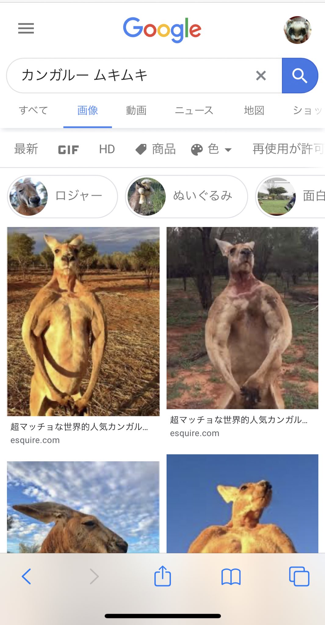 日本coser-いくみ – (193iKkyu3) [Twitter] (10.11.2022) [2476P116V-1.04GB]_第39集