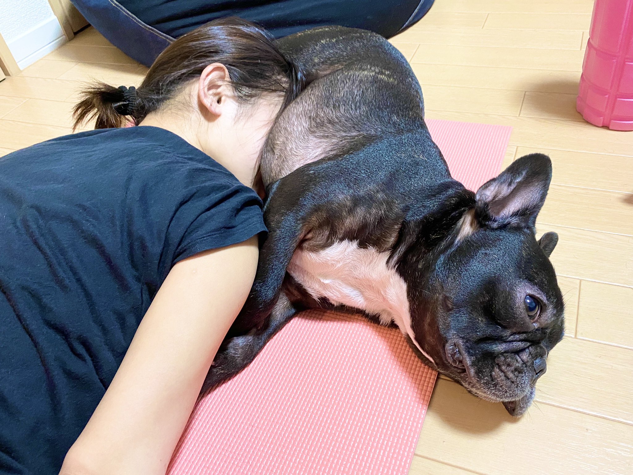 日本coser-いくみ – (193iKkyu3) [Twitter] (10.11.2022) [2476P116V-1.04GB]_第40集