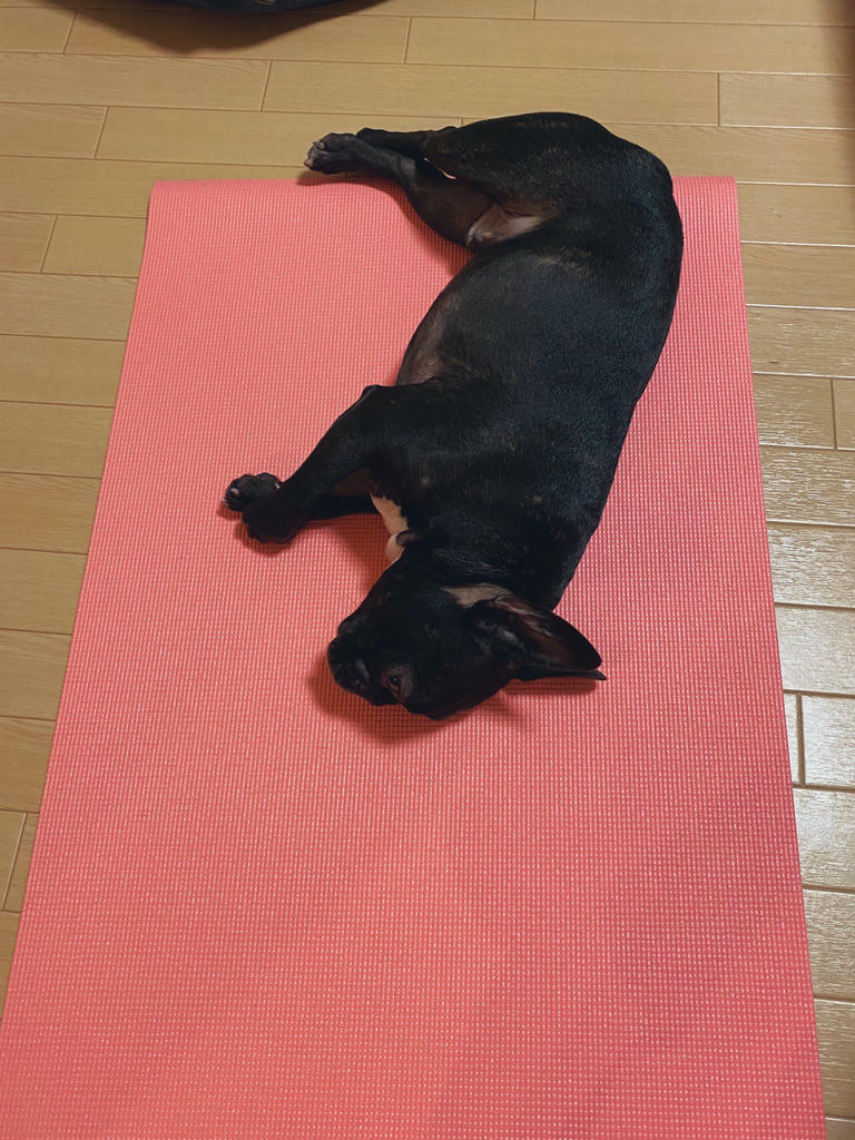 日本coser-いくみ – (193iKkyu3) [Twitter] (10.11.2022) [2476P116V-1.04GB]_第40集