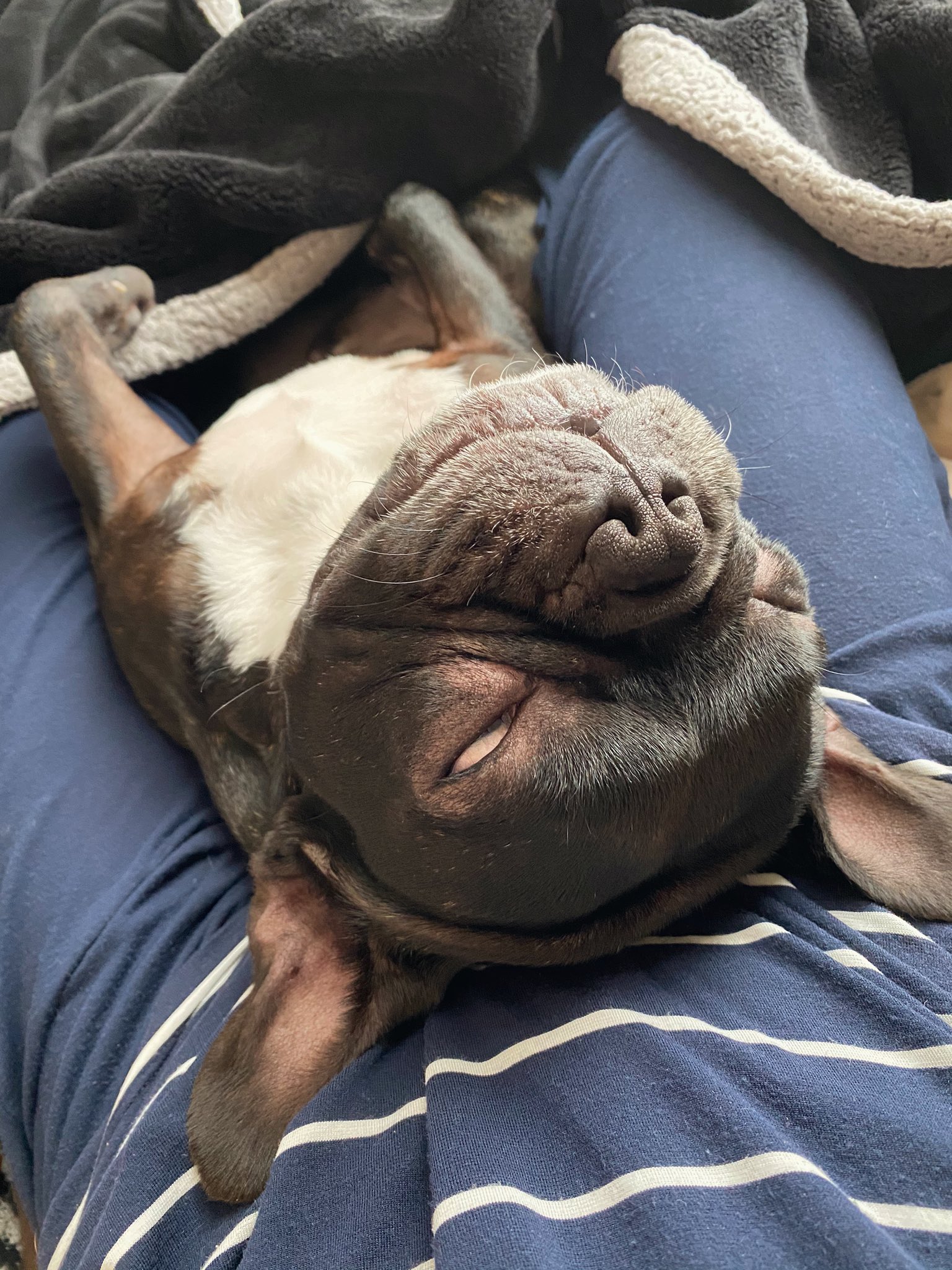 日本coser-いくみ – (193iKkyu3) [Twitter] (10.11.2022) [2476P116V-1.04GB]_第41集