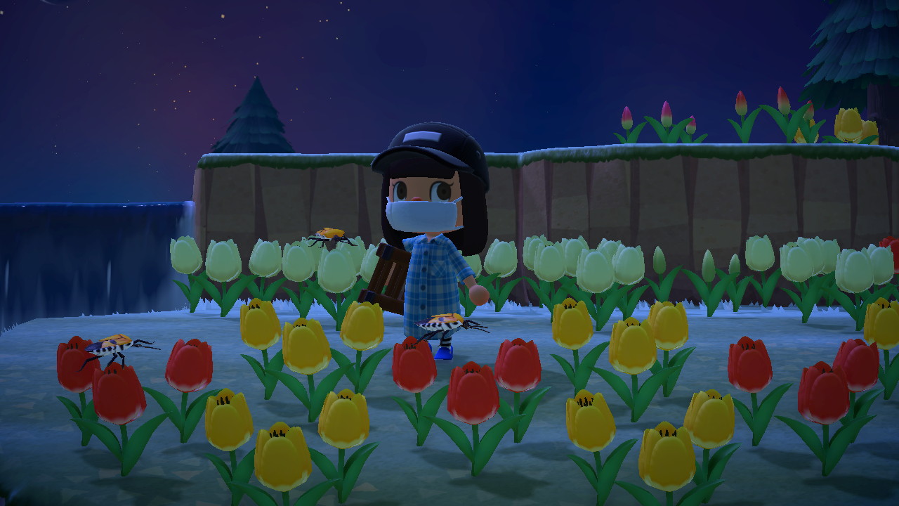 日本coser-いくみ – (193iKkyu3) [Twitter] (10.11.2022) [2476P116V-1.04GB]_第43集