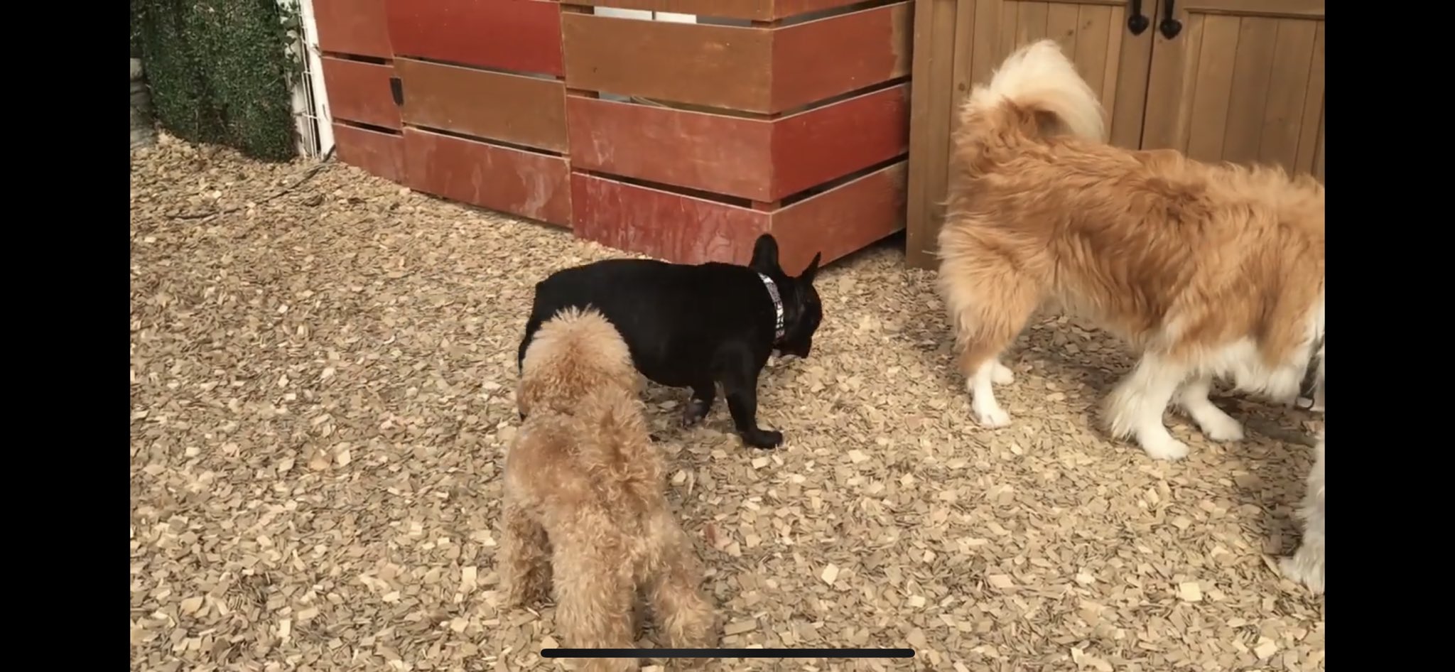 日本coser-いくみ – (193iKkyu3) [Twitter] (10.11.2022) [2476P116V-1.04GB]_第44集