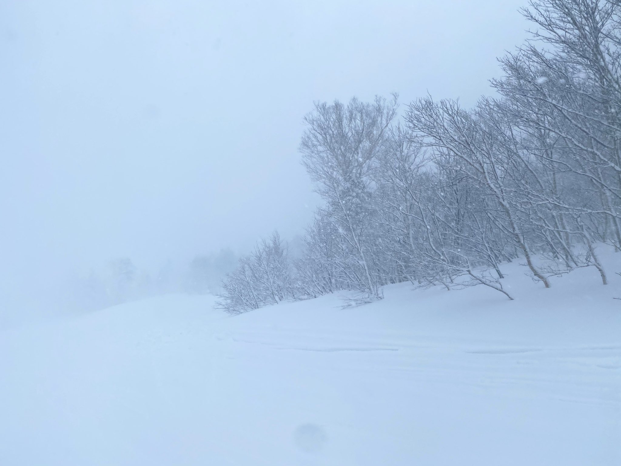 日本coser-いくみ – (193iKkyu3) [Twitter] (10.11.2022) [2476P116V-1.04GB]_第44集