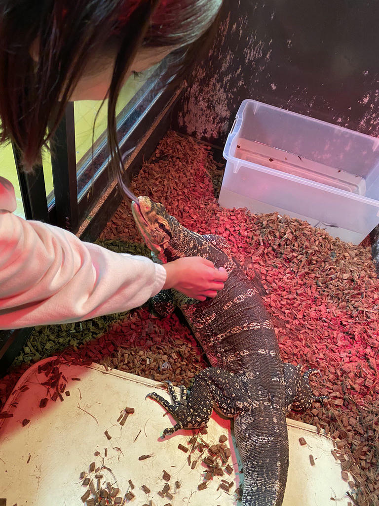 日本coser-いくみ – (193iKkyu3) [Twitter] (10.11.2022) [2476P116V-1.04GB]_第44集