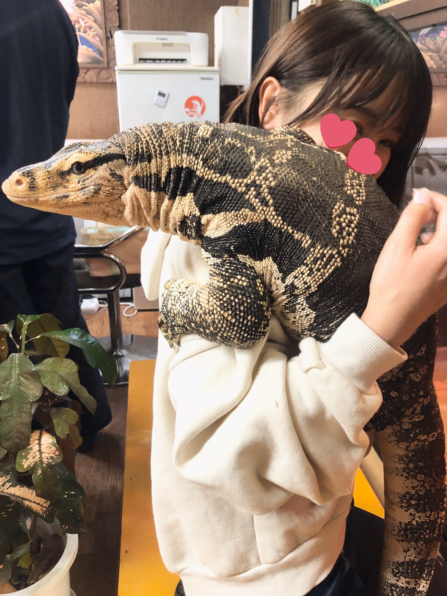 日本coser-いくみ – (193iKkyu3) [Twitter] (10.11.2022) [2476P116V-1.04GB]_第45集