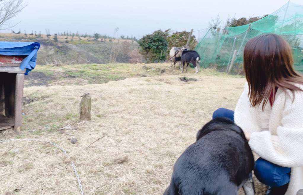 日本coser-いくみ – (193iKkyu3) [Twitter] (10.11.2022) [2476P116V-1.04GB]_第47集