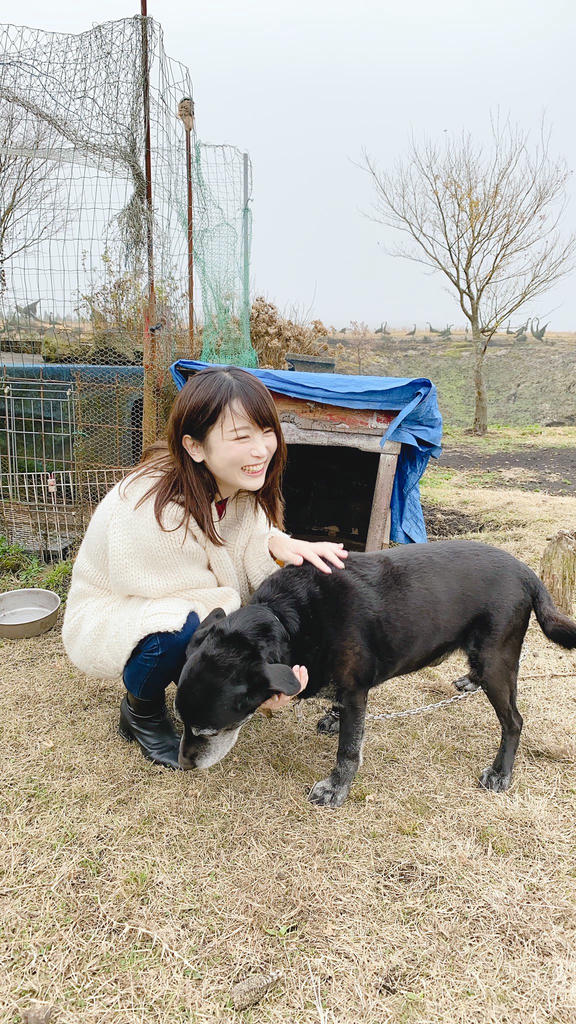 日本coser-いくみ – (193iKkyu3) [Twitter] (10.11.2022) [2476P116V-1.04GB]_第47集