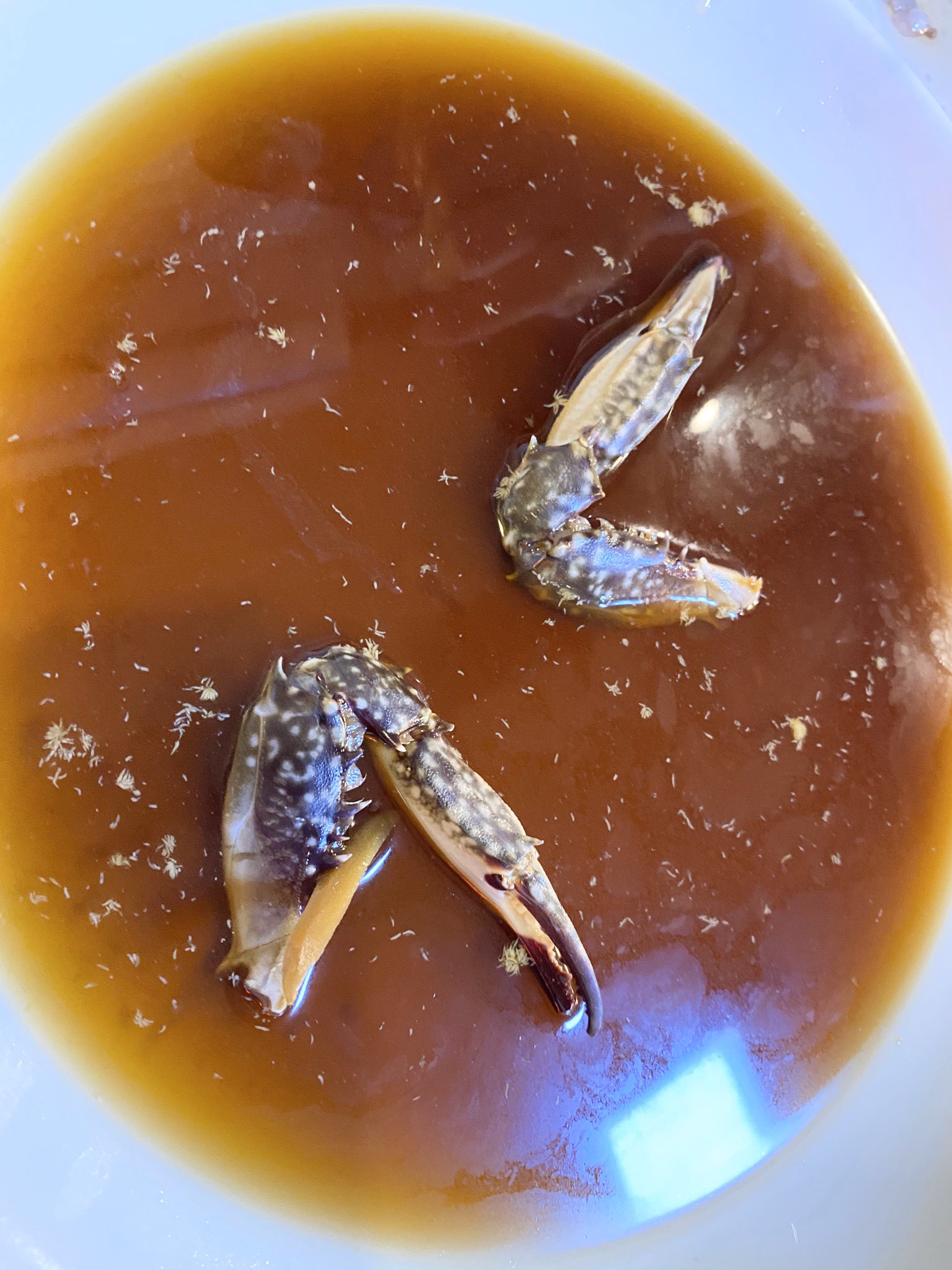 日本coser-いくみ – (193iKkyu3) [Twitter] (10.11.2022) [2476P116V-1.04GB]_第47集