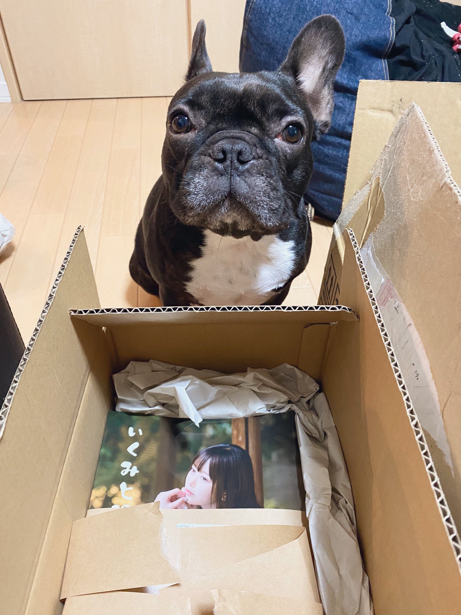 日本coser-いくみ – (193iKkyu3) [Twitter] (10.11.2022) [2476P116V-1.04GB]_第48集