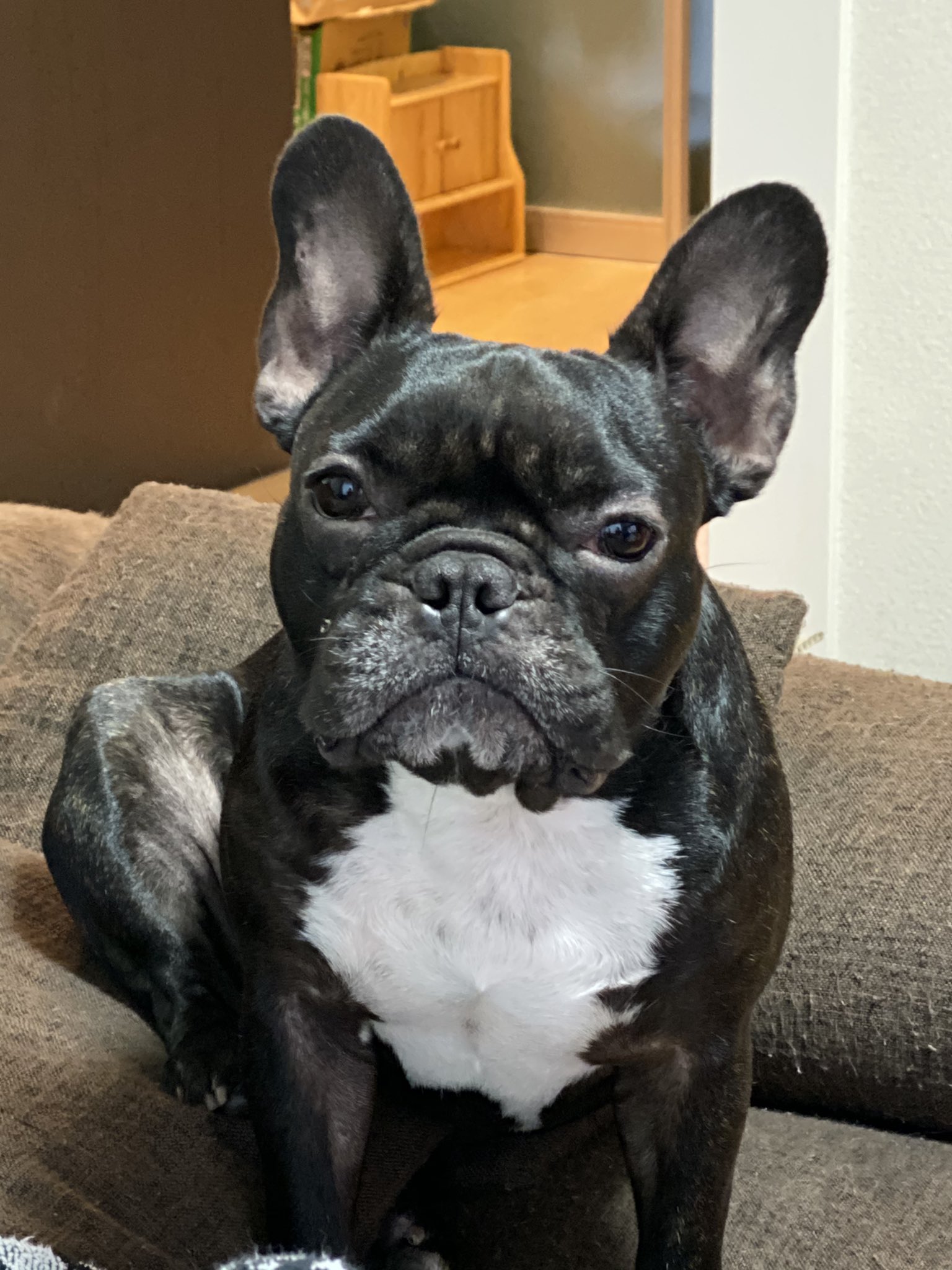 日本coser-いくみ – (193iKkyu3) [Twitter] (10.11.2022) [2476P116V-1.04GB]_第48集