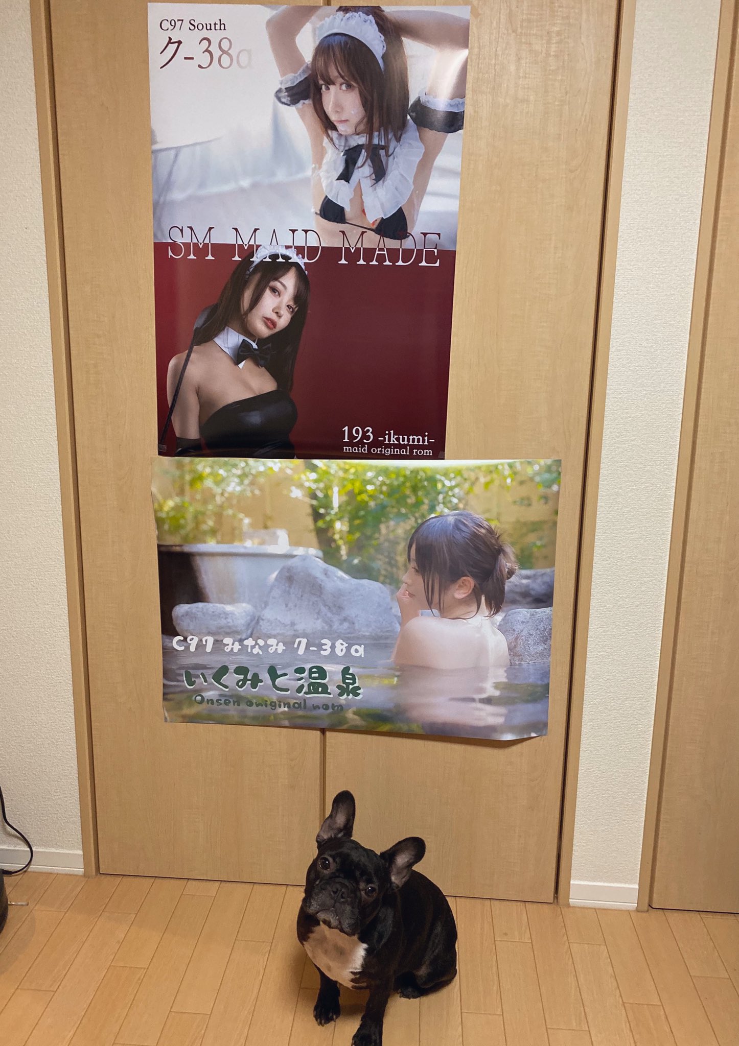 日本coser-いくみ – (193iKkyu3) [Twitter] (10.11.2022) [2476P116V-1.04GB]_第49集