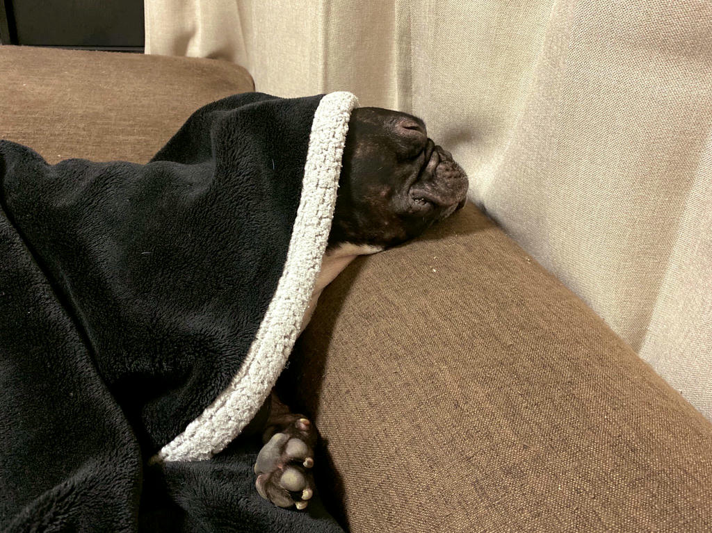 日本coser-いくみ – (193iKkyu3) [Twitter] (10.11.2022) [2476P116V-1.04GB]_第50集