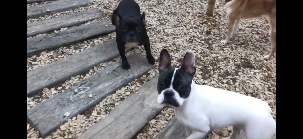 日本coser-いくみ – (193iKkyu3) [Twitter] (10.11.2022) [2476P116V-1.04GB]_第50集