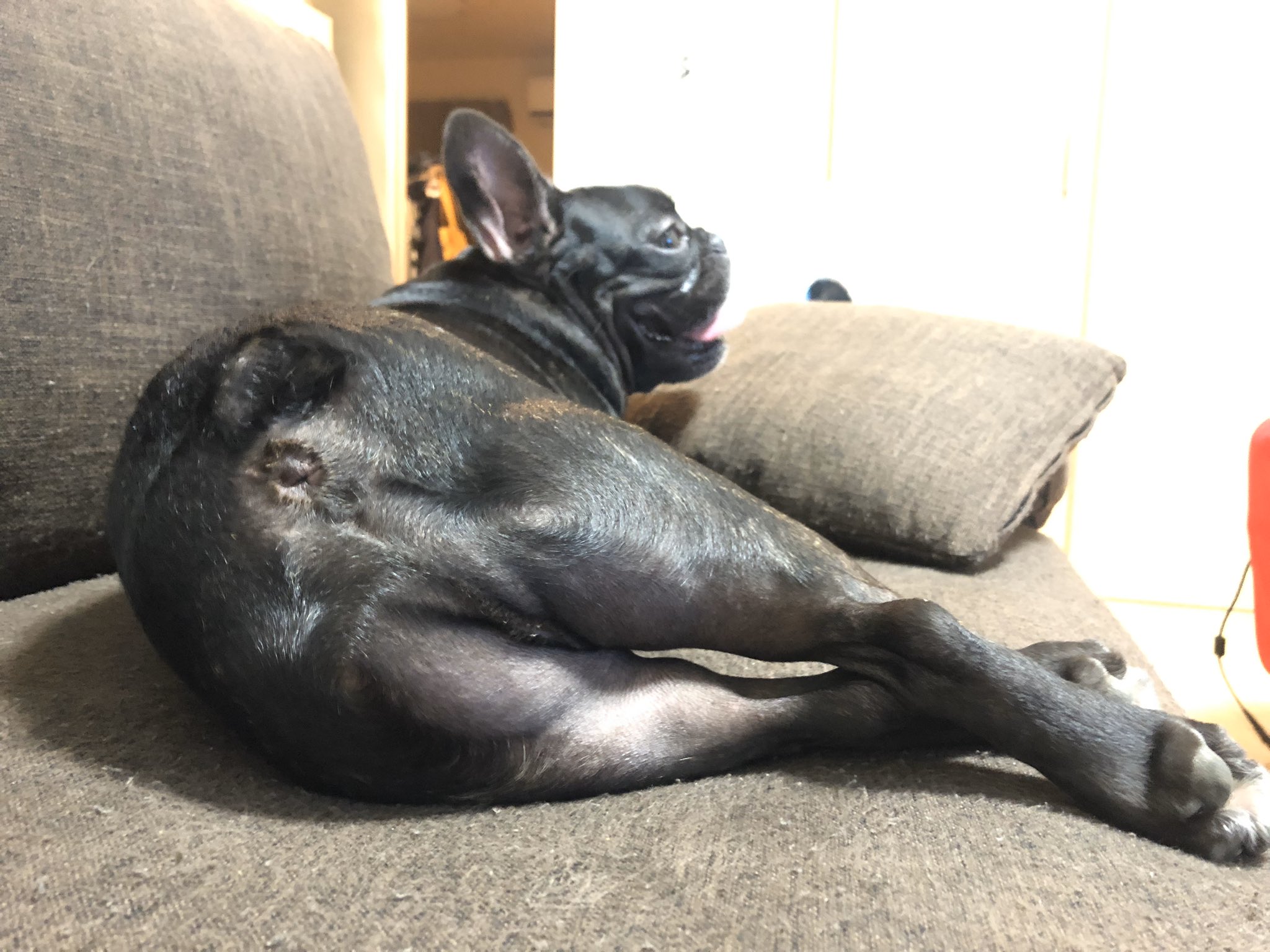 日本coser-いくみ – (193iKkyu3) [Twitter] (10.11.2022) [2476P116V-1.04GB]_第50集