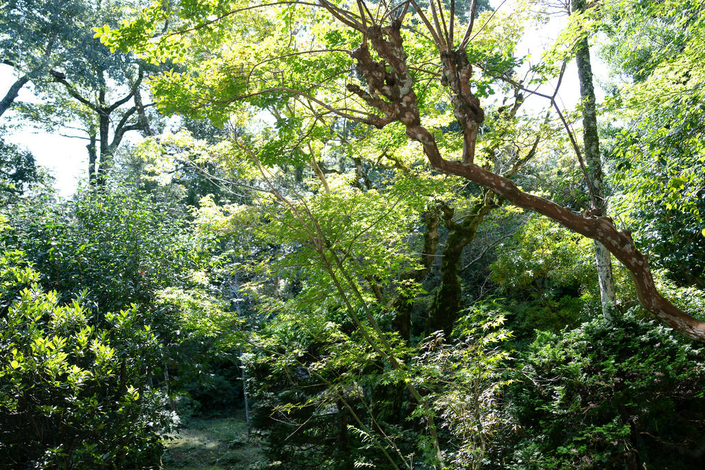 日本coser-193iKkyu3-いくみ NO.036 mitsu_rom [411P 680MB]_第19集