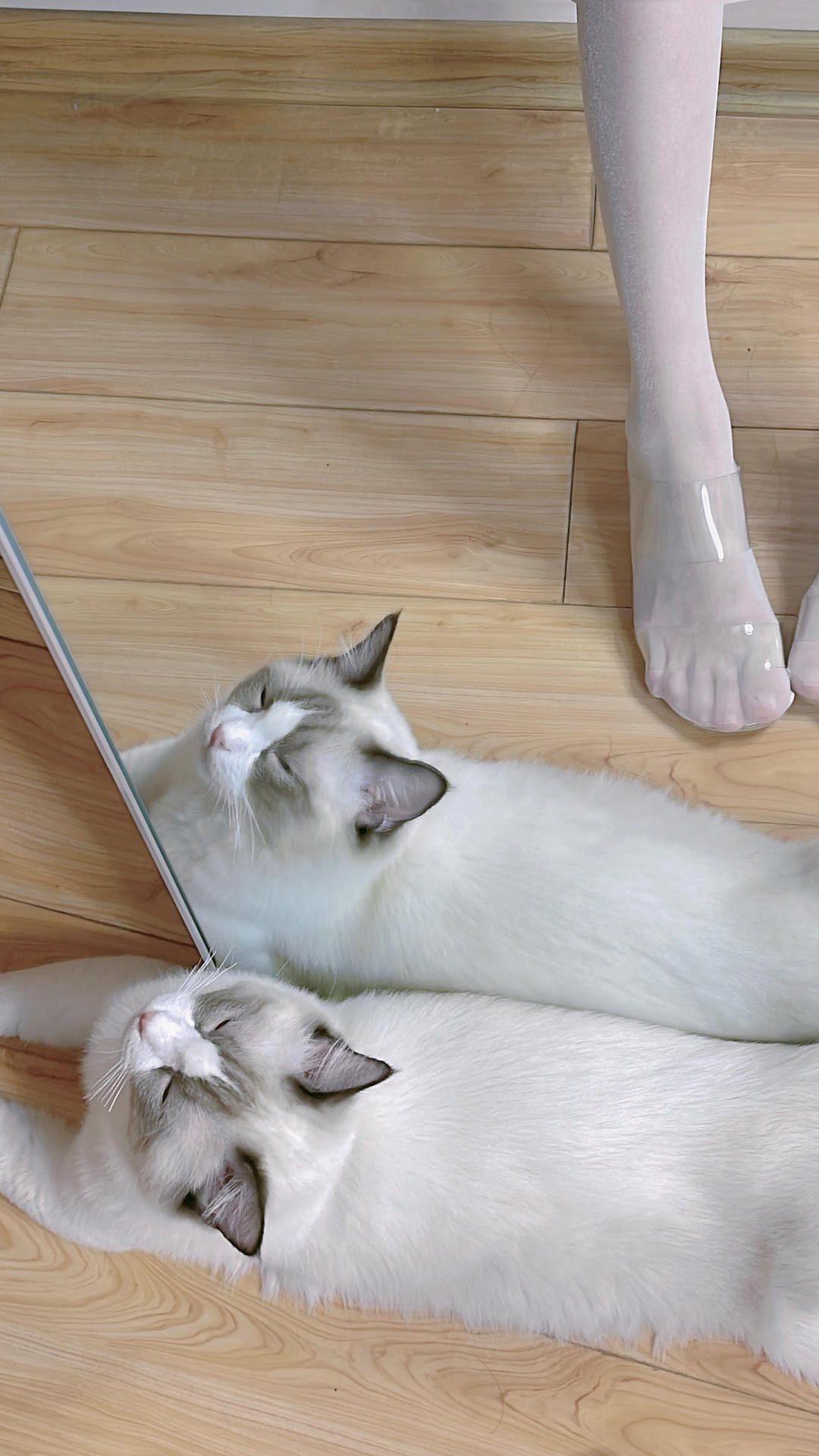 miko酱ww NO.042 自拍系列mikoの白丝02[225P-1.57GB]_第12集