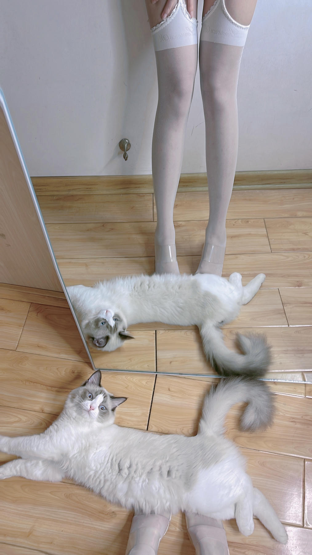 miko酱ww NO.042 自拍系列mikoの白丝02[225P-1.57GB]_第12集