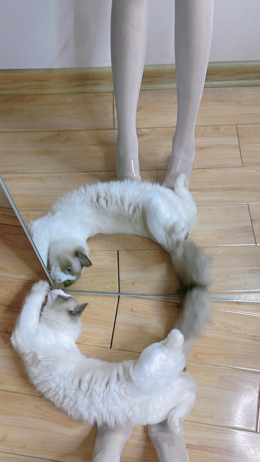 miko酱ww NO.042 自拍系列mikoの白丝02[225P-1.57GB]_第12集