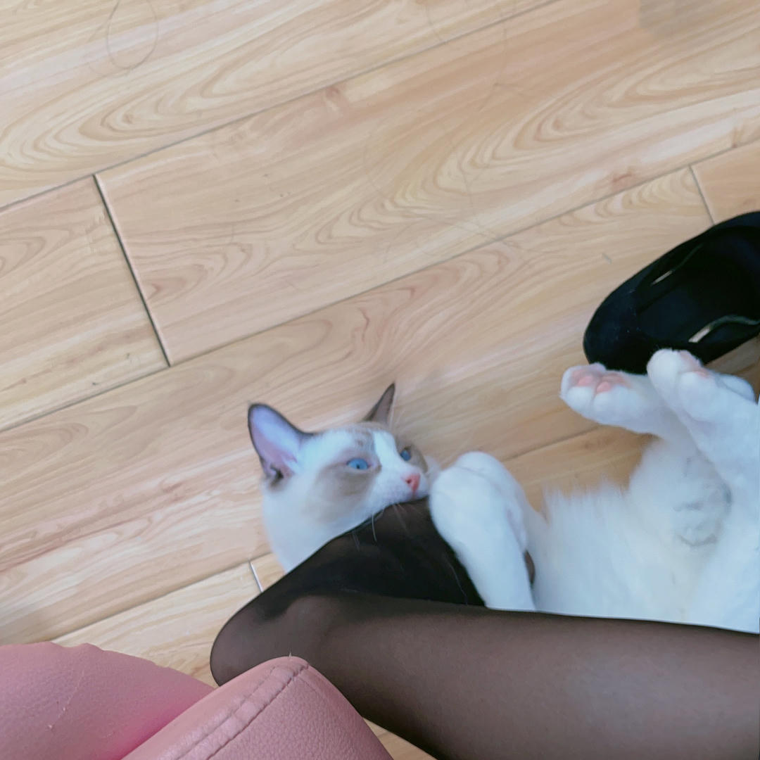 miko酱ww NO.045 自拍系列mikoの黑丝01 [229P-1.39GB]_第9集